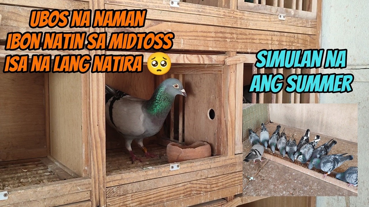 UBOS IBON NATIN SA MID TOSS ISA NA LANG ANG NATIRA - SIMULAN NA ANG SUMMER 2026