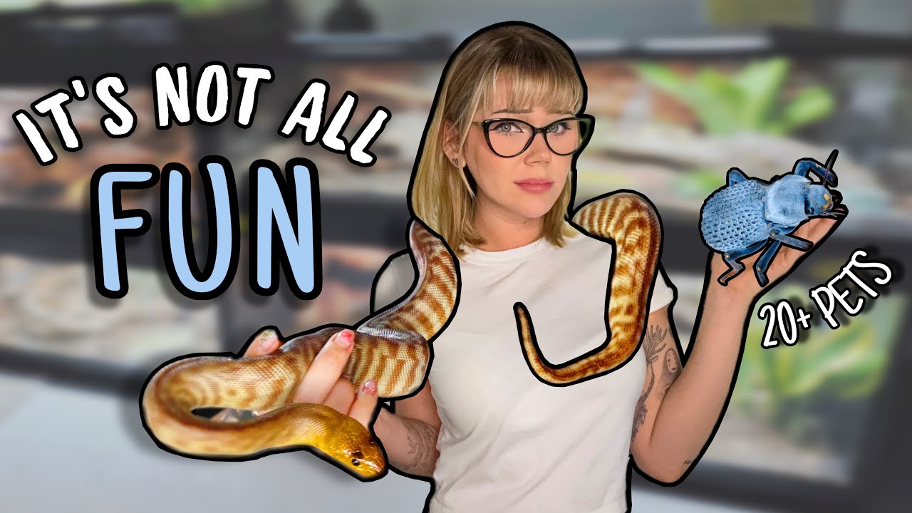 A Realistic Day in my Animal Room...