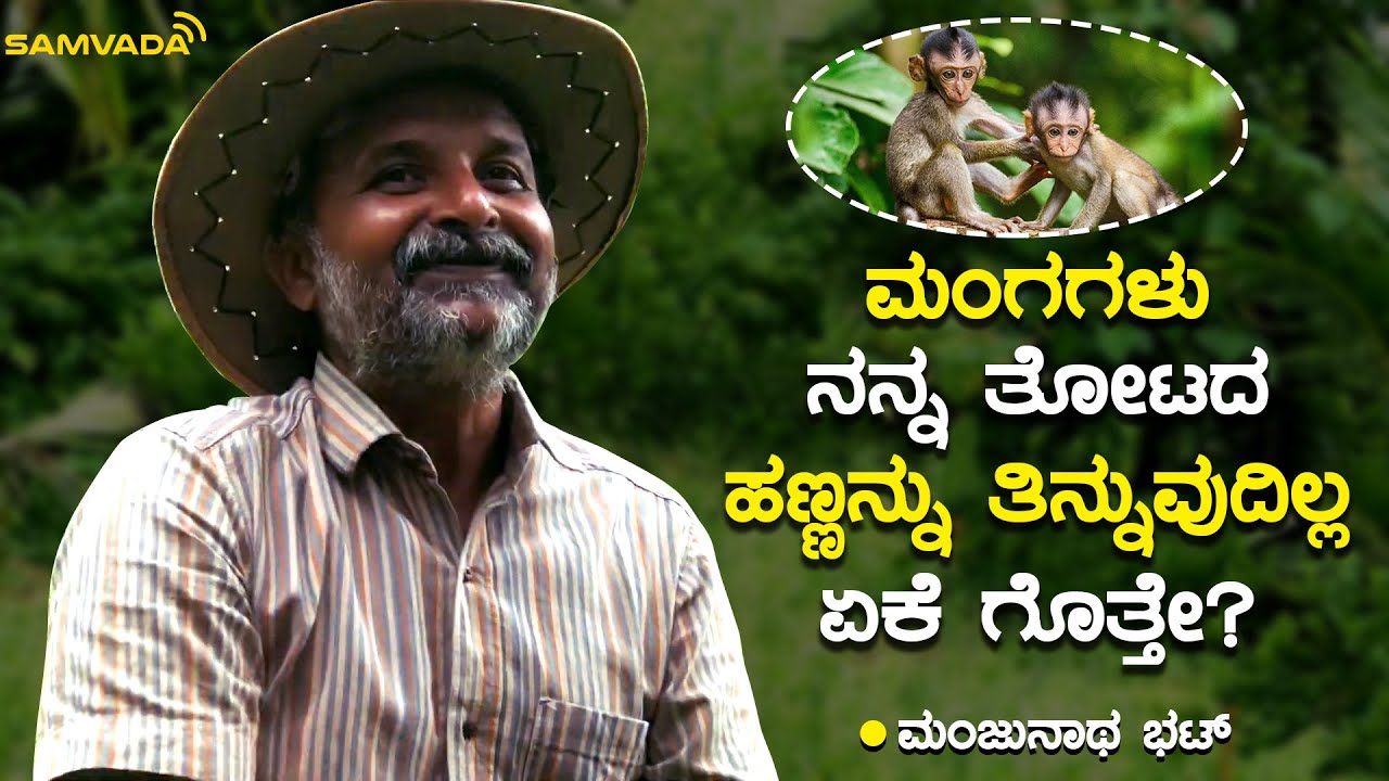 ಮಂಗಗಳು ನನ್ನ ತೋಟದ ಹಣ್ಣನ್ನು ತಿನ್ನುವುದಿಲ್ಲ ಏಕೆ ಗೊತ್ತೇ? | ಮಂಜುನಾಥ ಭಟ್