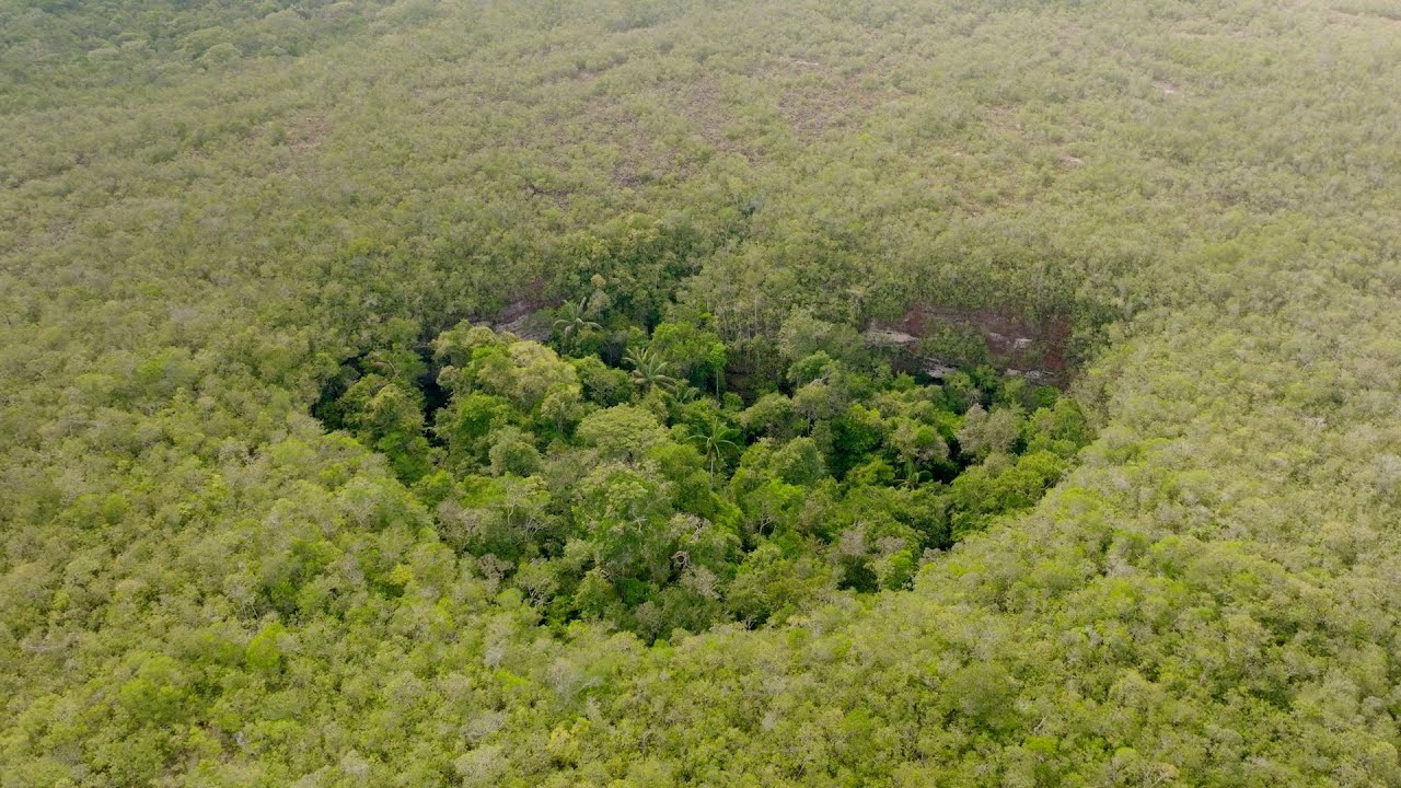 Rolex Perpetual Planet Initiative – Francesco Sauro: Caves of the Yarí River