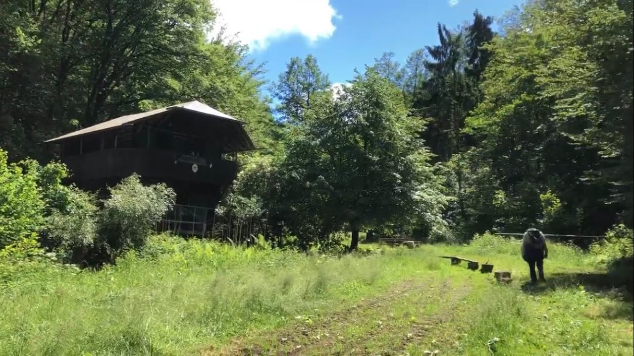Unterwegs im Spessart, auf und abseits der Birkenhainer Straße .