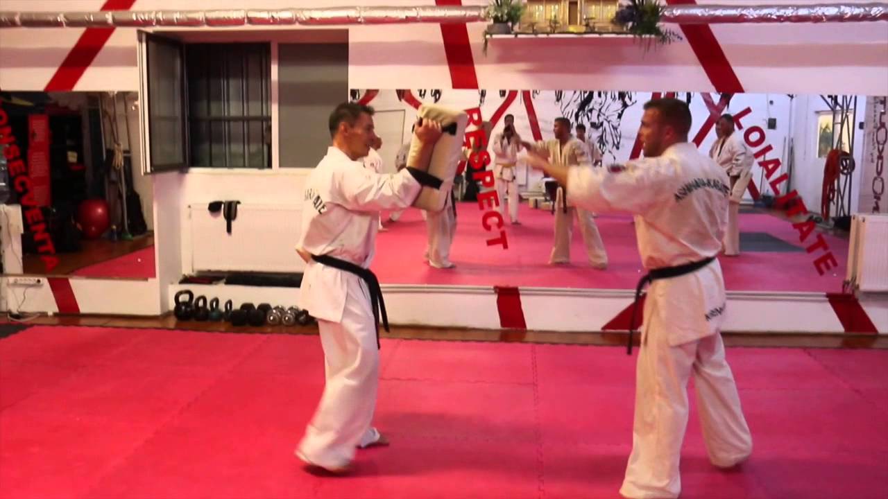 Ashihara Karate København And Ashihara Karate D`ippon N.S.