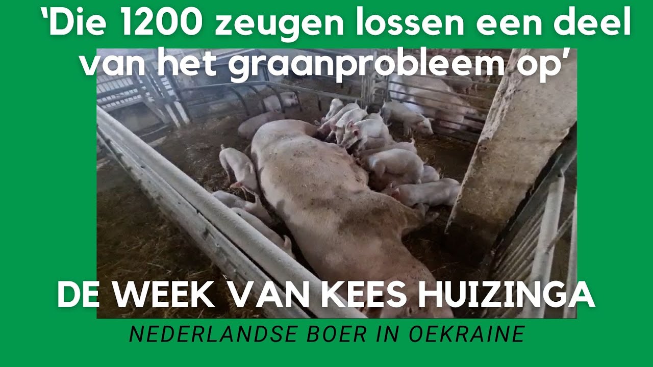 Oekraïne-vlogger Kees Huizinga: ‘Die 1200 zeugen lossen een deel van mijn graanprobleem op’