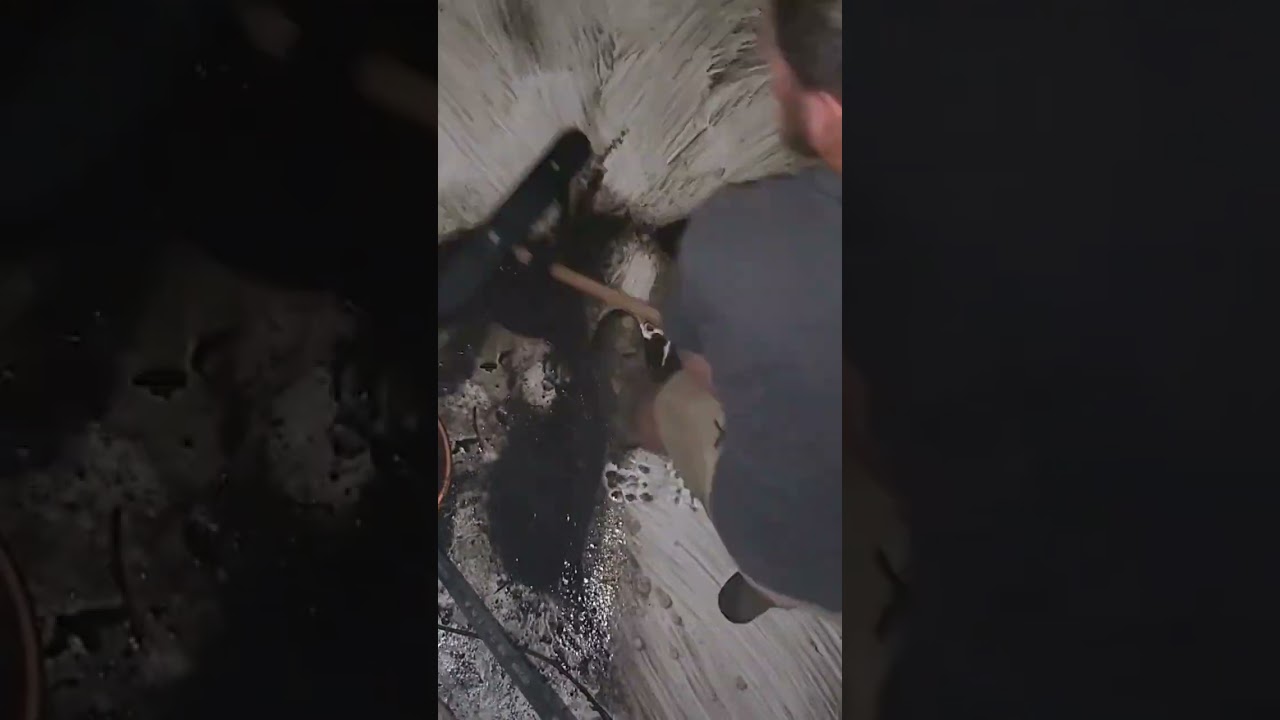 I Cleaned A Rainwater Tank With 2 Years Of Filth