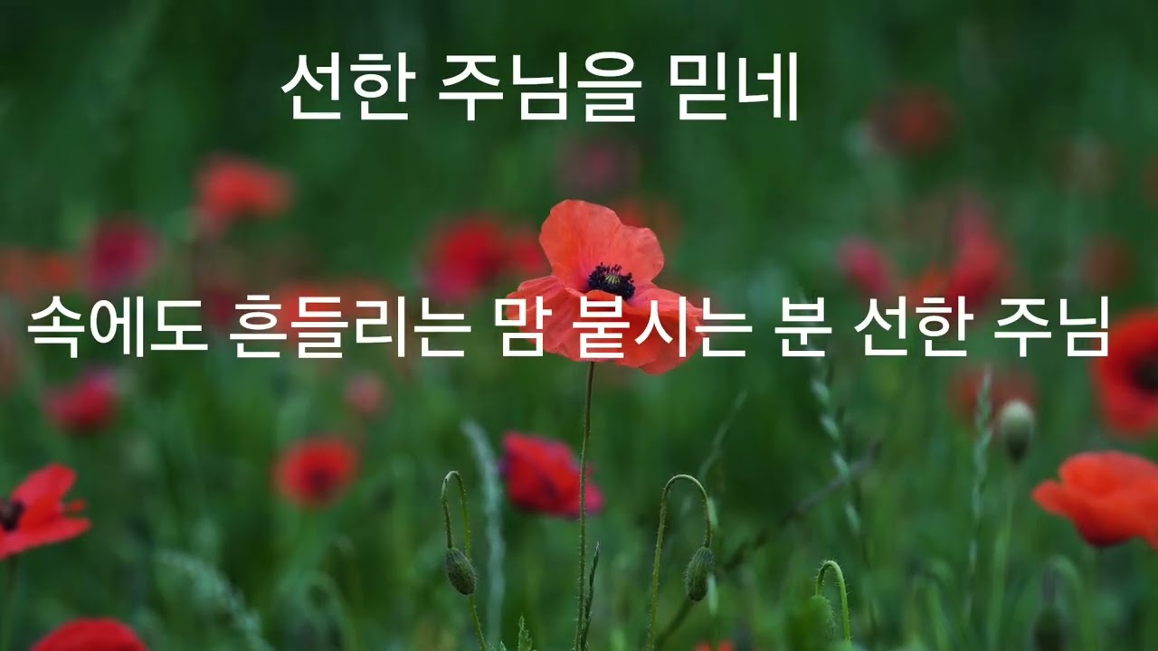 [CCM Playlist] 주님 만 바라 봅니다 마음이 평안 해지는 찬송 #오직하나님께만영광 #은혜 #주님의영광 # 할렐루야 