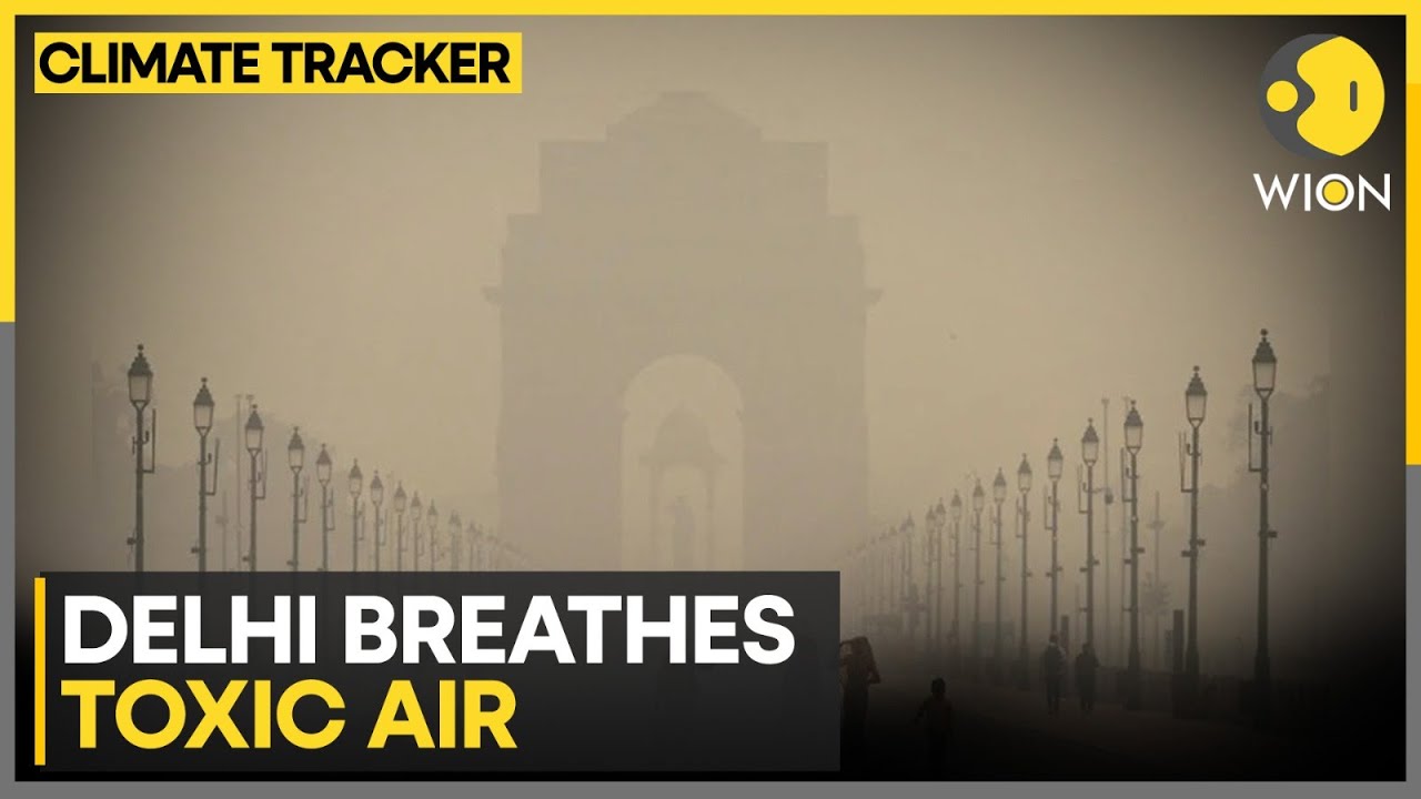 Delhi Air Pollution: Delhi Witnesses Toxic Layer of Smog for Another Day | WION Climate Tracker