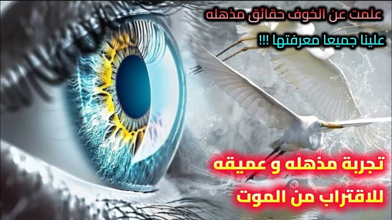 علمت عن الخوف حقائق مذهله علينا جميعا معرفتها!!! تجربة مذهله وعميقه للاقتراب من الموت 