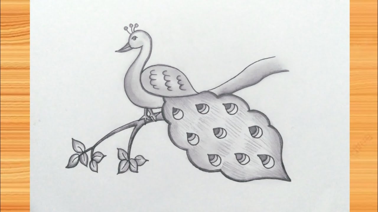 मोर का चित्र बनाना सीखें / Peacock Drawing / How to Draw Peacock Very Easy for Beginner Easy Steps