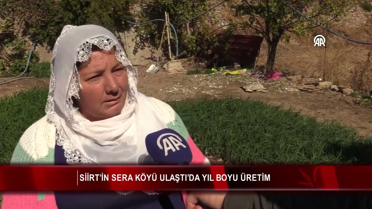Siirt’in sera köyü Ulaştı’da yıl boyu üretim