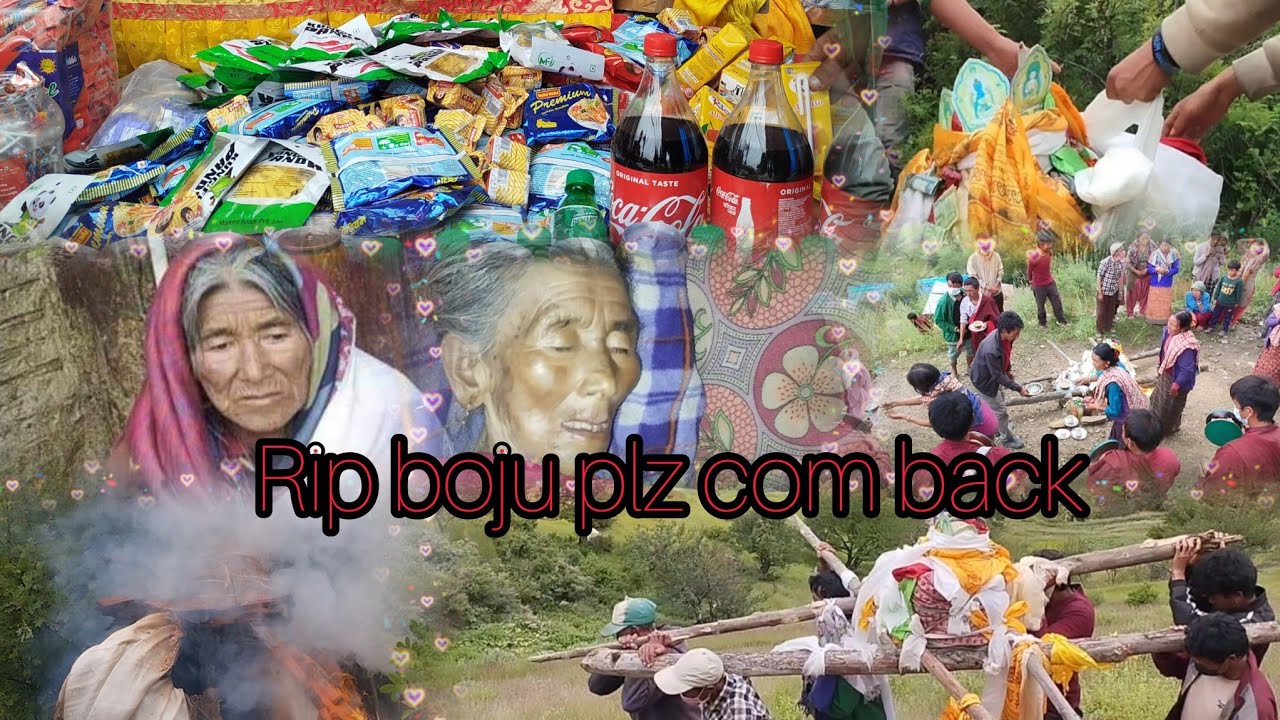 Rip boju plz com back