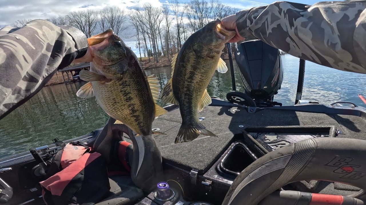 Cold Water and BIG BASS : Lake Anna Spring CATT qualifier