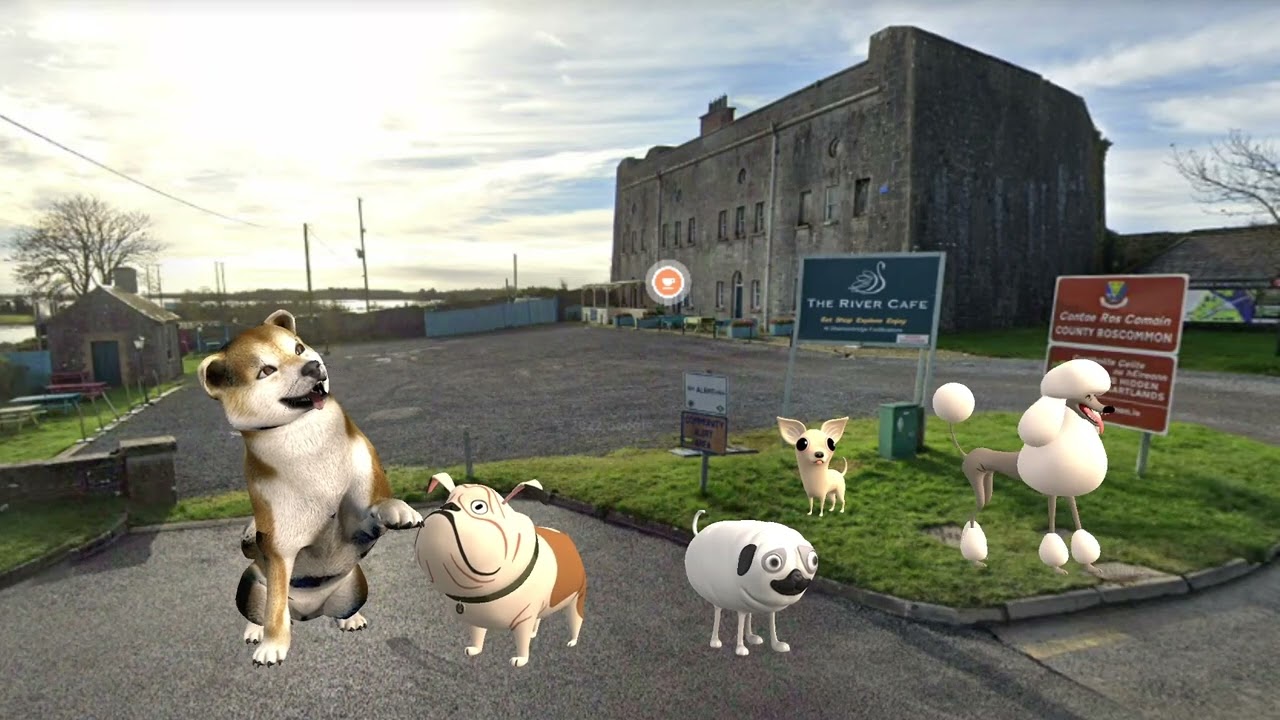 Anima&ccedil;&atilde;o de animais de estima&ccedil;&atilde;o 🐶 Beochan peata&iacute; 🐩 County Roscommon 🐕 Devildog