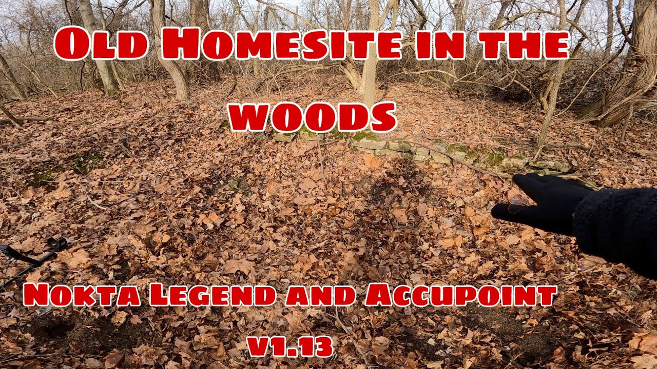 What I found at the Old Homesite #noktalegend #accupoint #metaldetecting