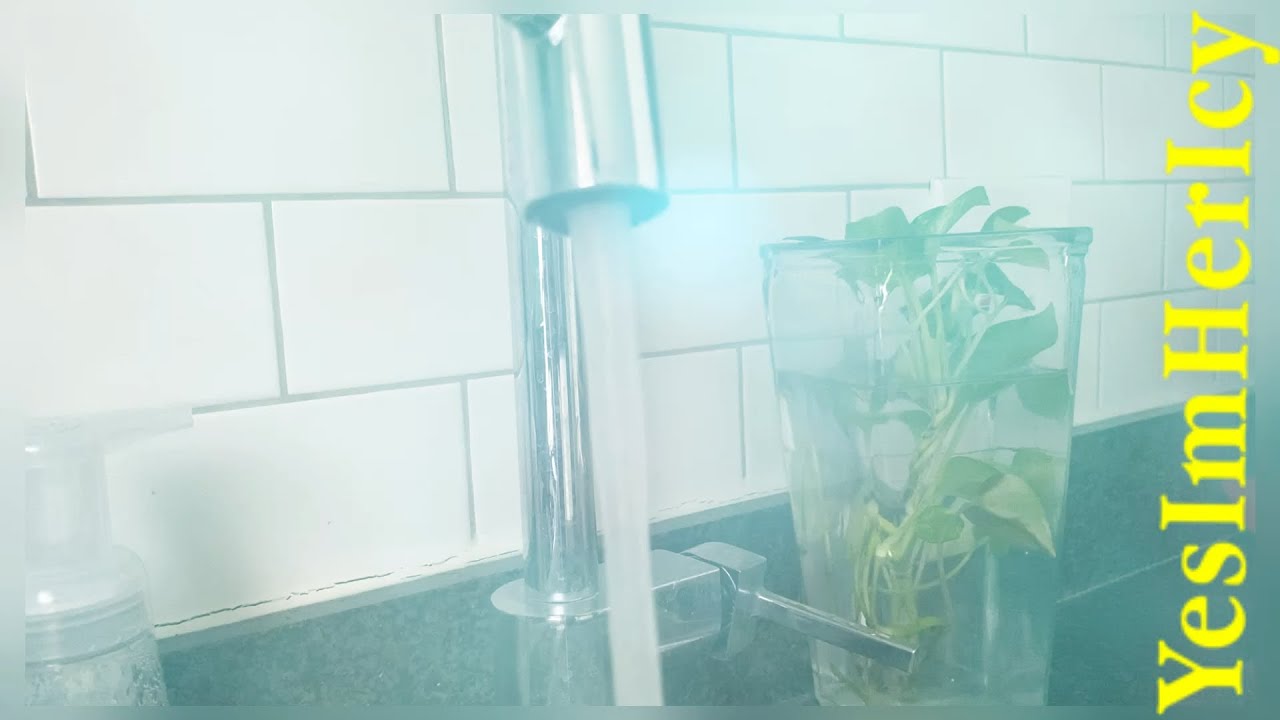 Reprogram Your Mind…Water Meditation