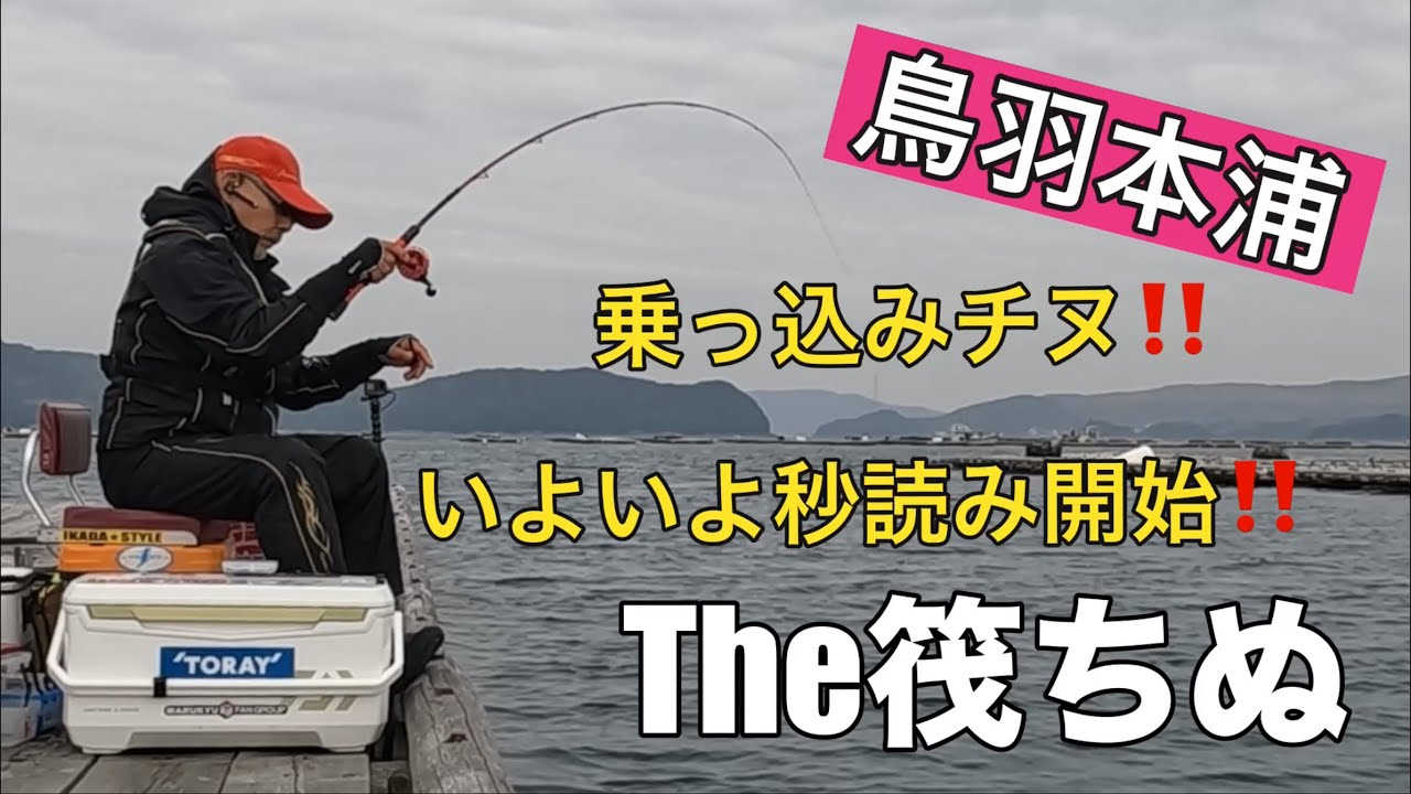 鳥羽本浦のチヌかかり釣り・筏釣り