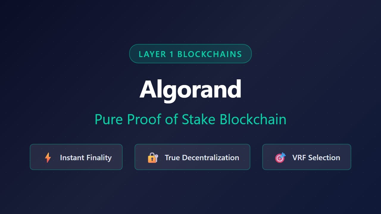 Algorand: объяснение блокчейна Pure Proof of Stake | Блокчейны первого уровня