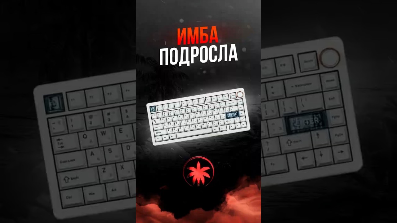 Имба подросла! Cidoo QK75 #pc #клавиатура #пкгейминг