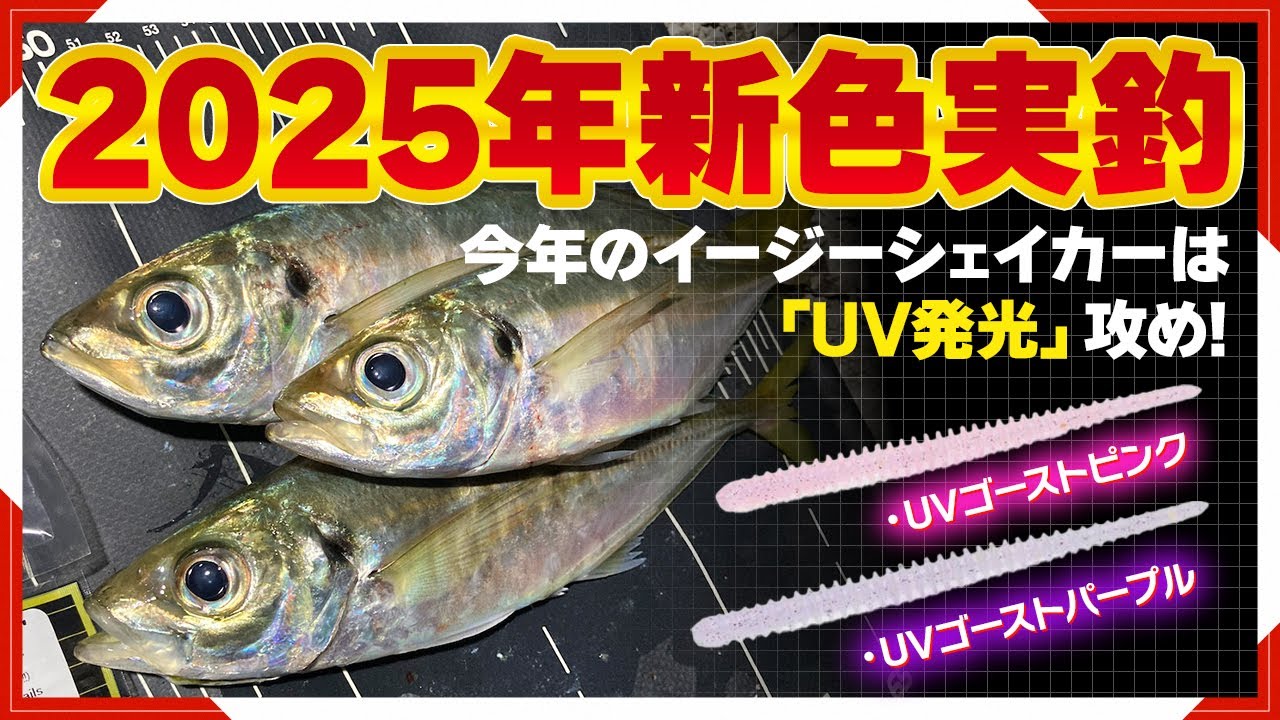 【アジング】2025新色イージーシェイカー実釣!今年のカラーは一味違う…【淡路島】