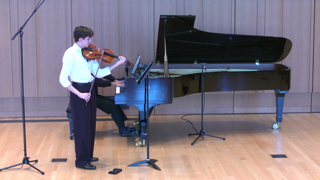 BRAHMS Viola Sonata Op. 120 No.1 in F minor, 1st Movement