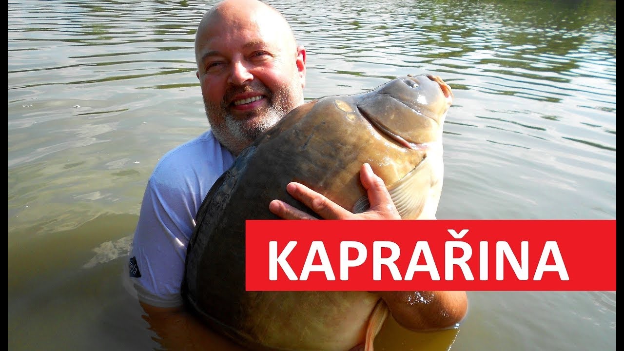Úspěšný lov kaprů v létě: Jednoduchá výroba krmení na kapry do teplé vody!