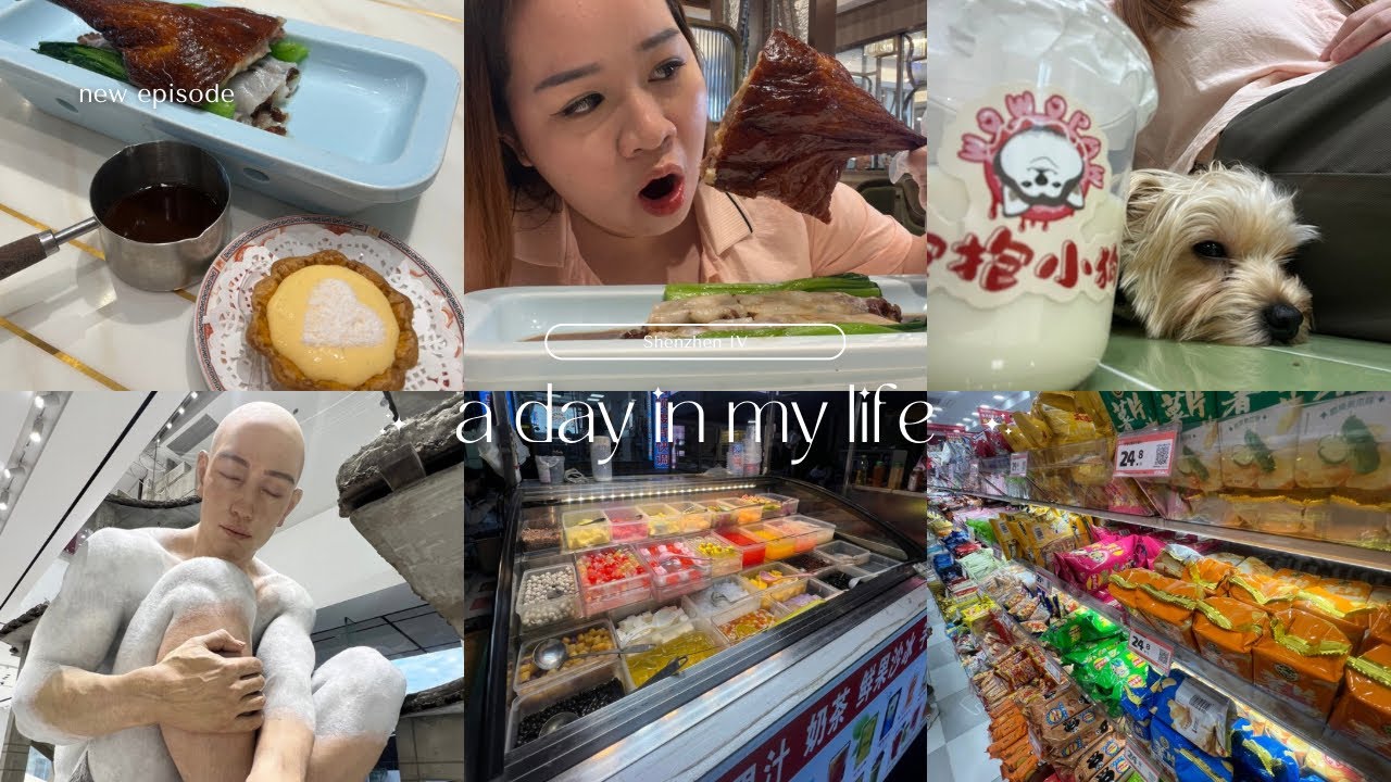 🇨🇳 IV: Giant goose meat rice roll/ Animal Cafe/ Haus Nowhere MixC World/ Yantian Night Market
