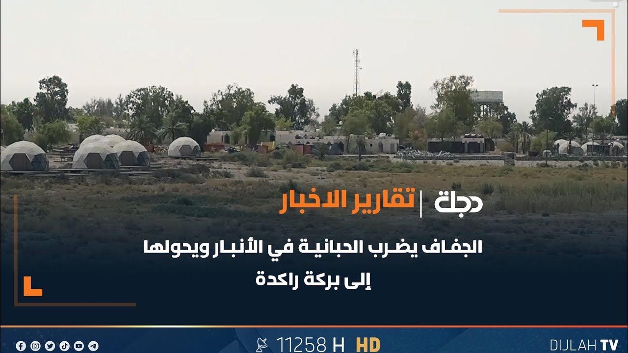 الجفاف يضرب بحيرة الحبانية في الأنبار ويحولها إلى بركة راكدة