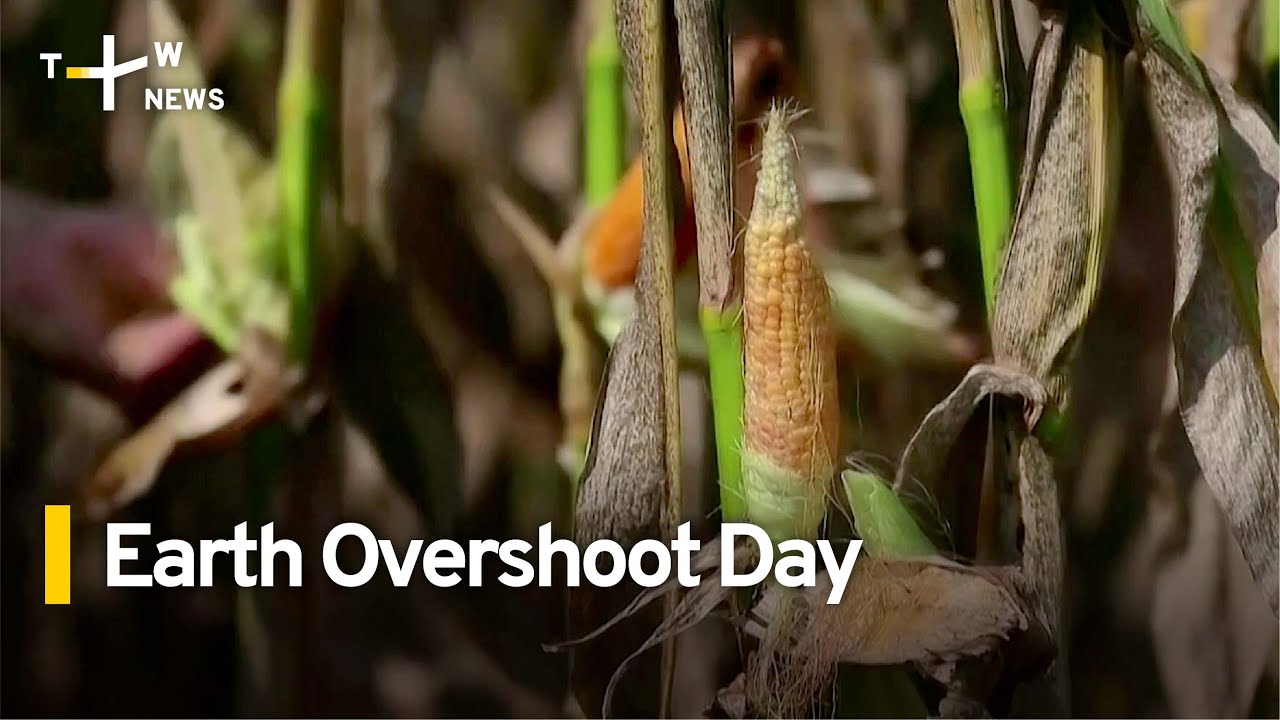 Earth Overshoot Day Falls on August 2 as Growth Outpaces Resources | TaiwanPlus News
