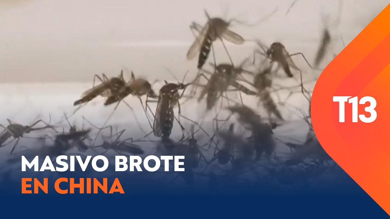 Chikungunya: el virus que provoca masivo brote en China