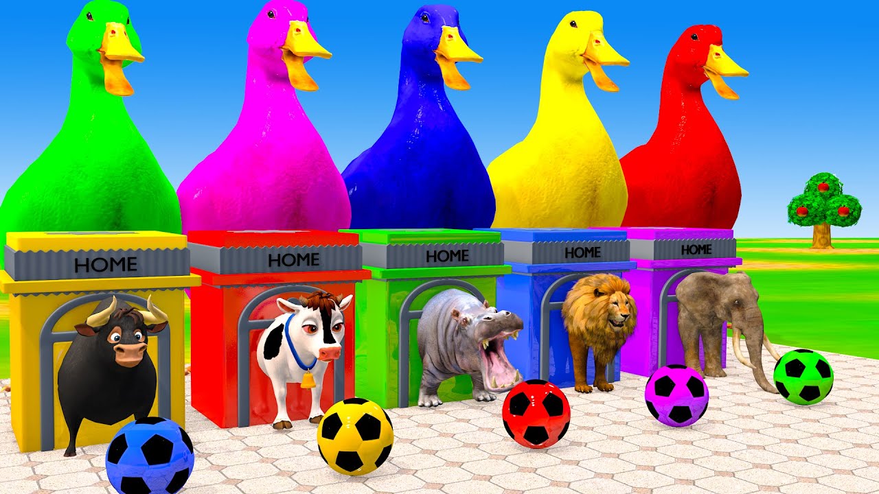 Long Slide Game With Cow Elephant Gorilla Hippopotamus Tiger - 3d Animal Game - Funny 3d Animals