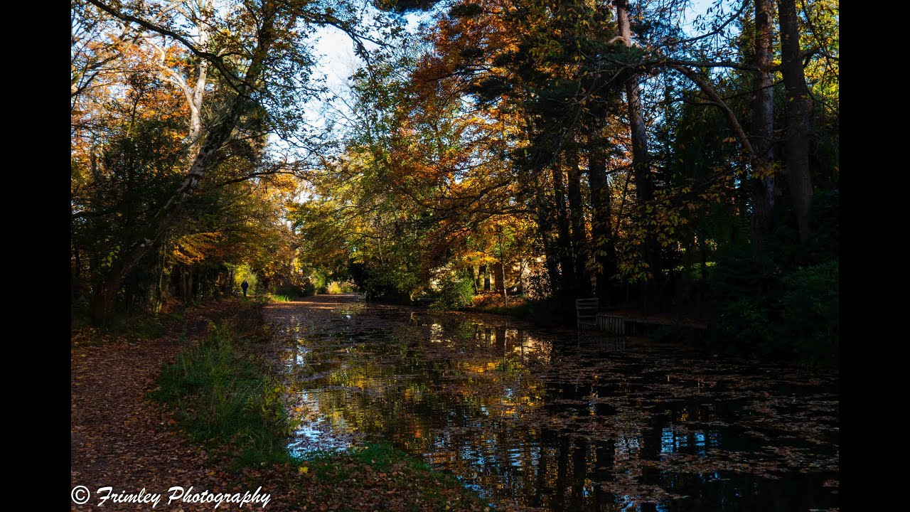 Basingtoke Canal Winchfield - Autumn 2024 v2 0