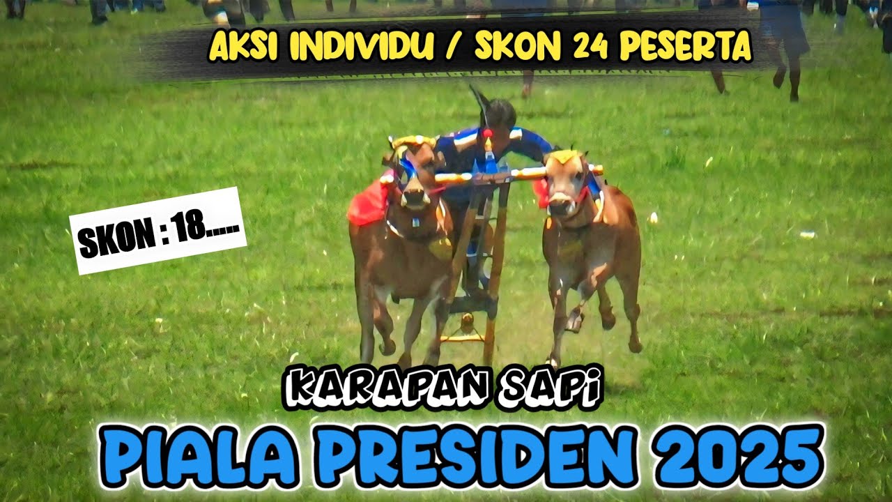 Inilah Kecepatan / Skon 24 Peserta Karapan Sapi Piala Presiden 2025