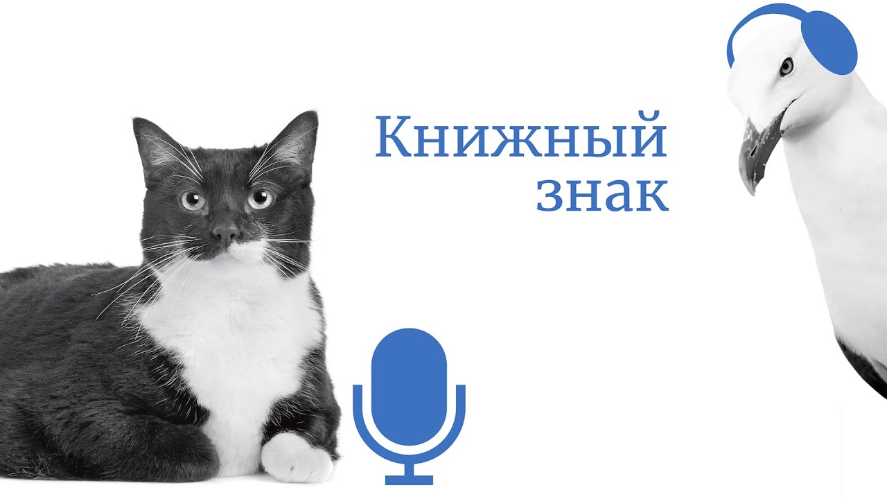 За пределами классики: зачем читать современную прозу