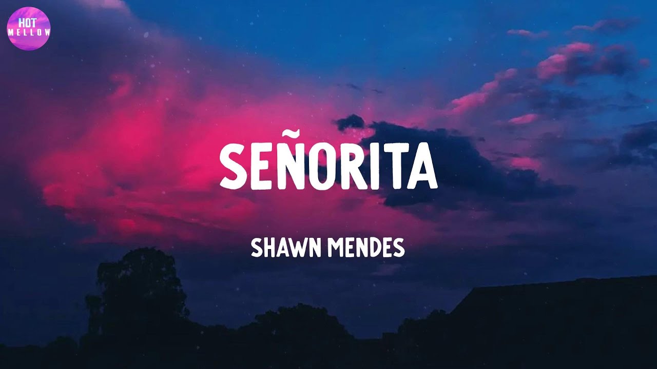 Señorita - Shawn Mendes / Closer, All of Me,...(Mix)