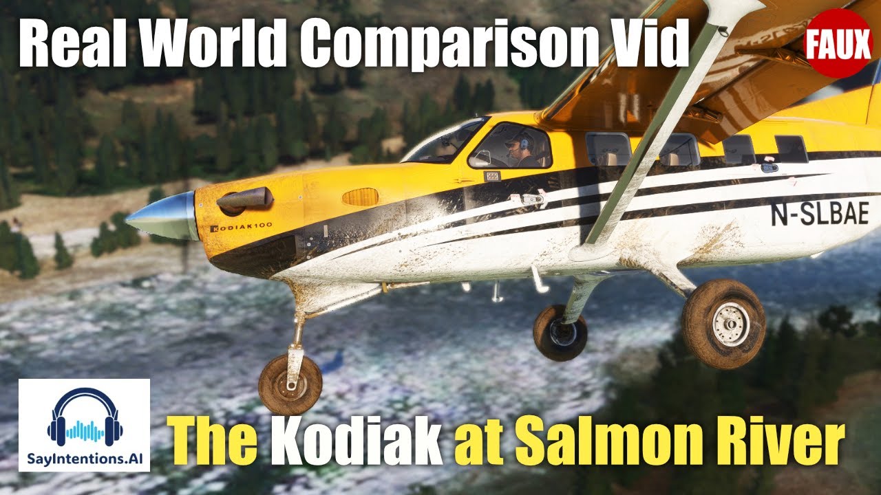 Kodiak VR Flight -  Real vs Sim - Salmon River Bush Flying