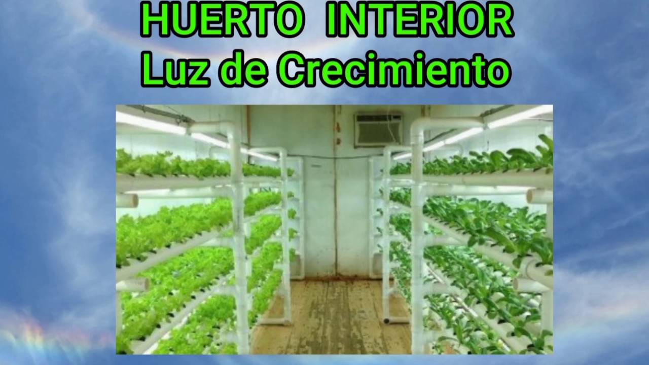 Luz de Crecimiento de Plantas | HUERTO INTERIOR | Todo lo que necesitas saber