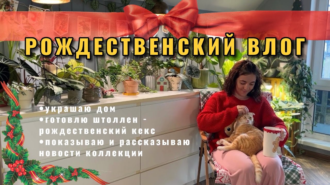 🎄Рождественский влог: украшаю дом, готовлю штоллен, рассказываю новости коллекции растений❤️