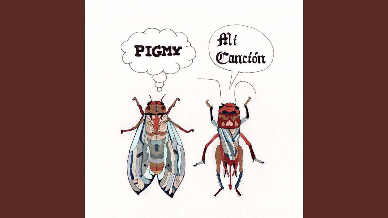 Mi Canción