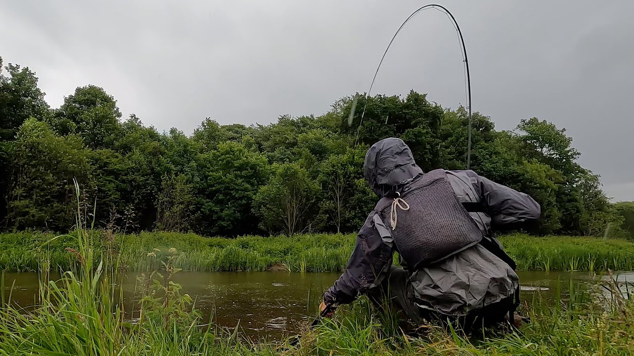 Havørred i Storåen. En skærsommerdagsdrøm 2024