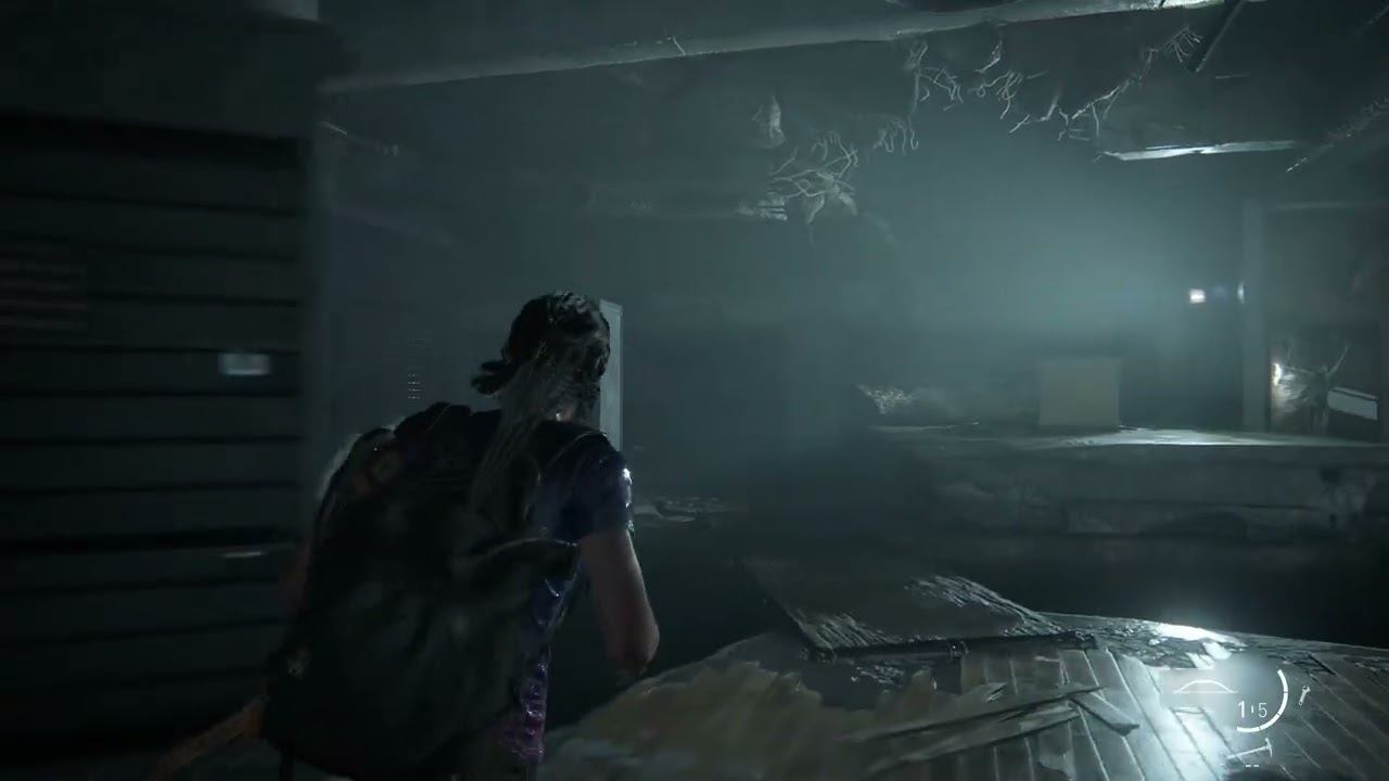 The Last of Us™ Part II  watch and injoy