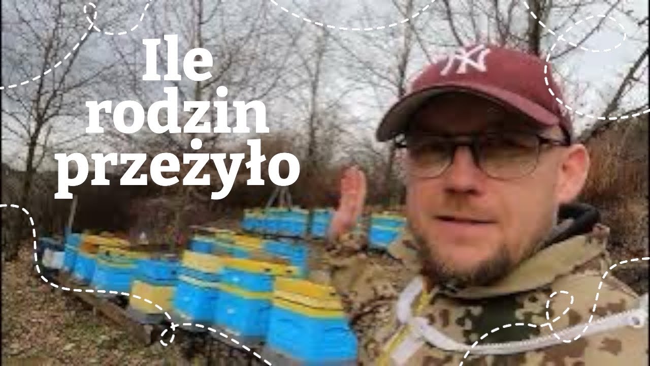 Pasieka Paproć - Ile rodzin przeżyło, usuwam osypane ule
