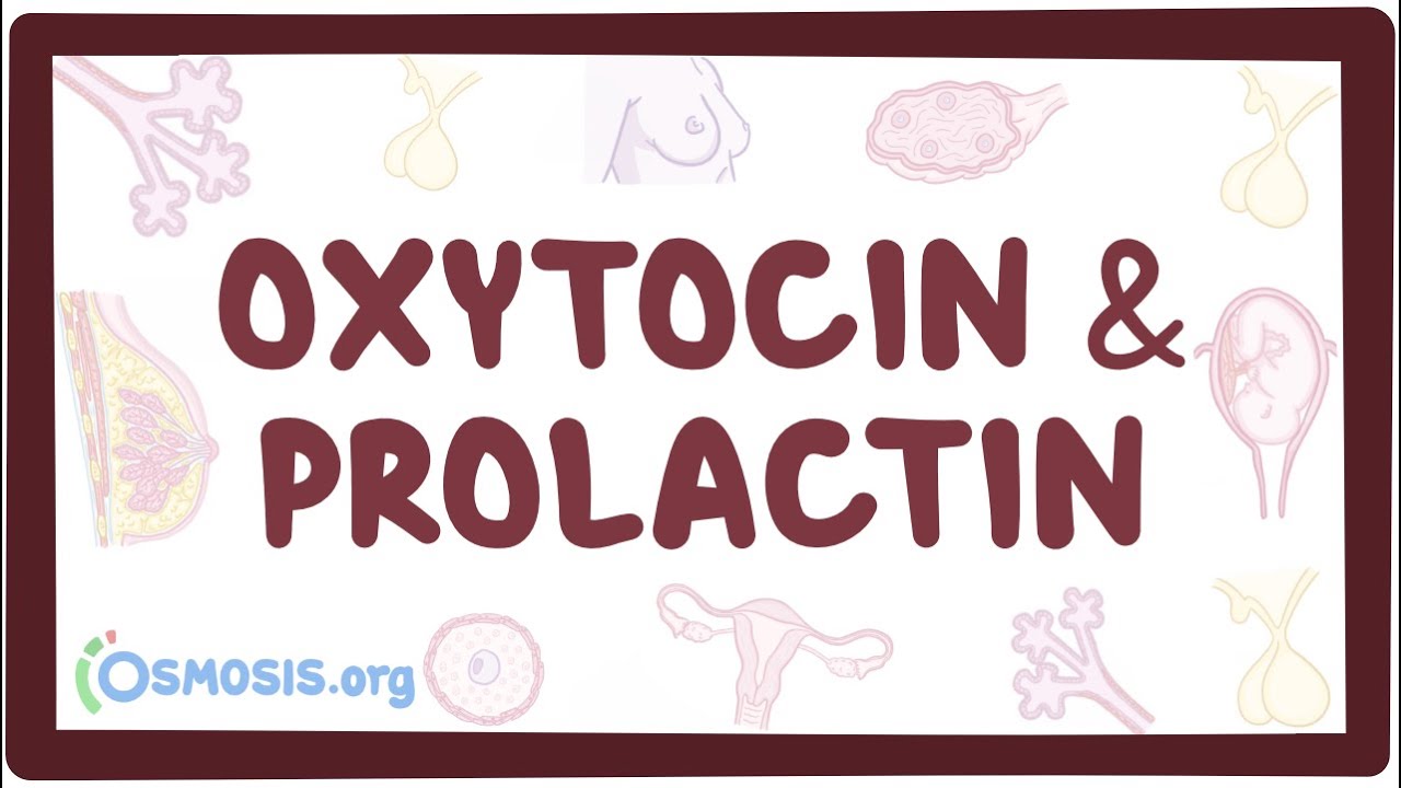 Oxytocin and prolactin