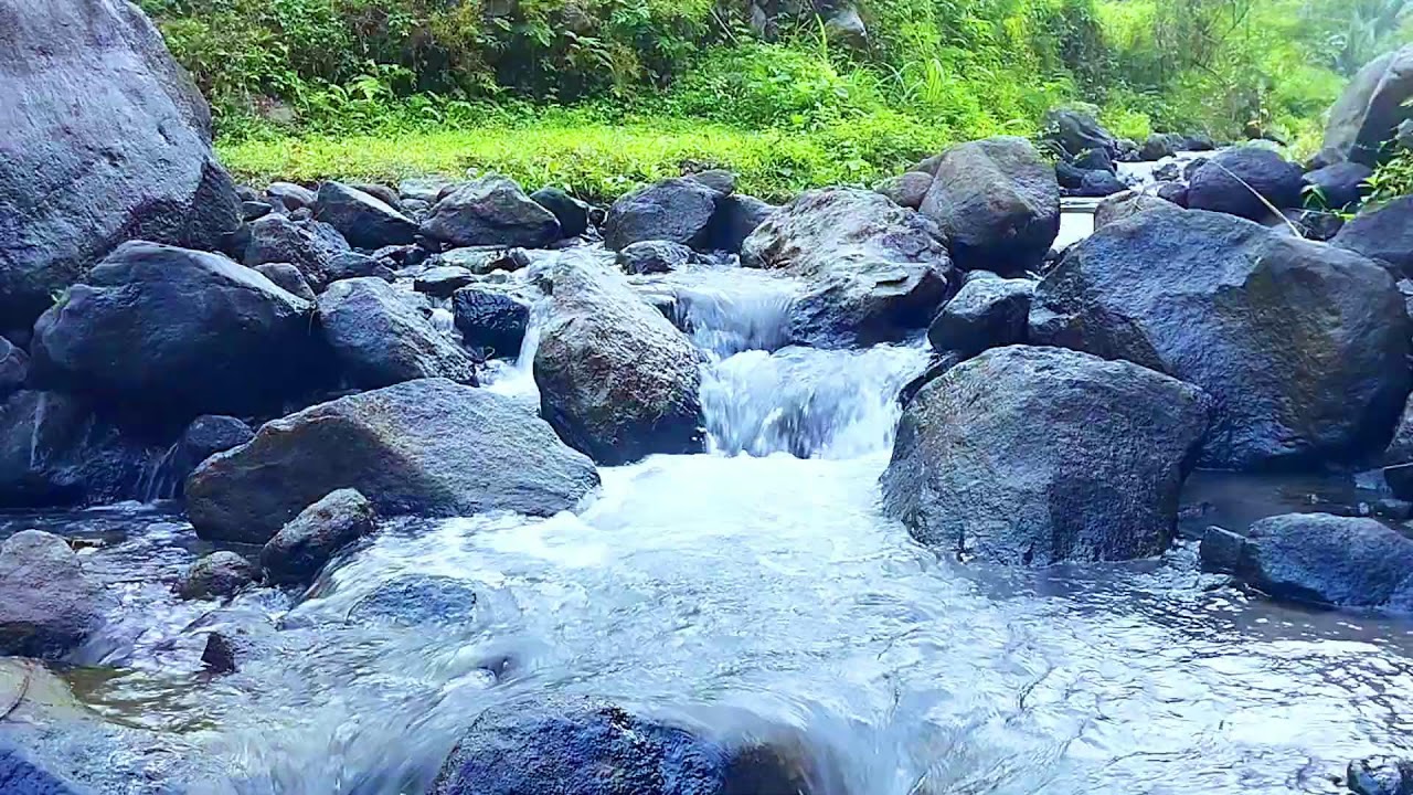 Immersive Nature Sounds for Deep Work Flow