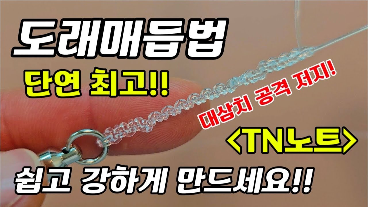 도래매듭 강해야죠?! TN노트! 대삼치 공격을 피하자!!