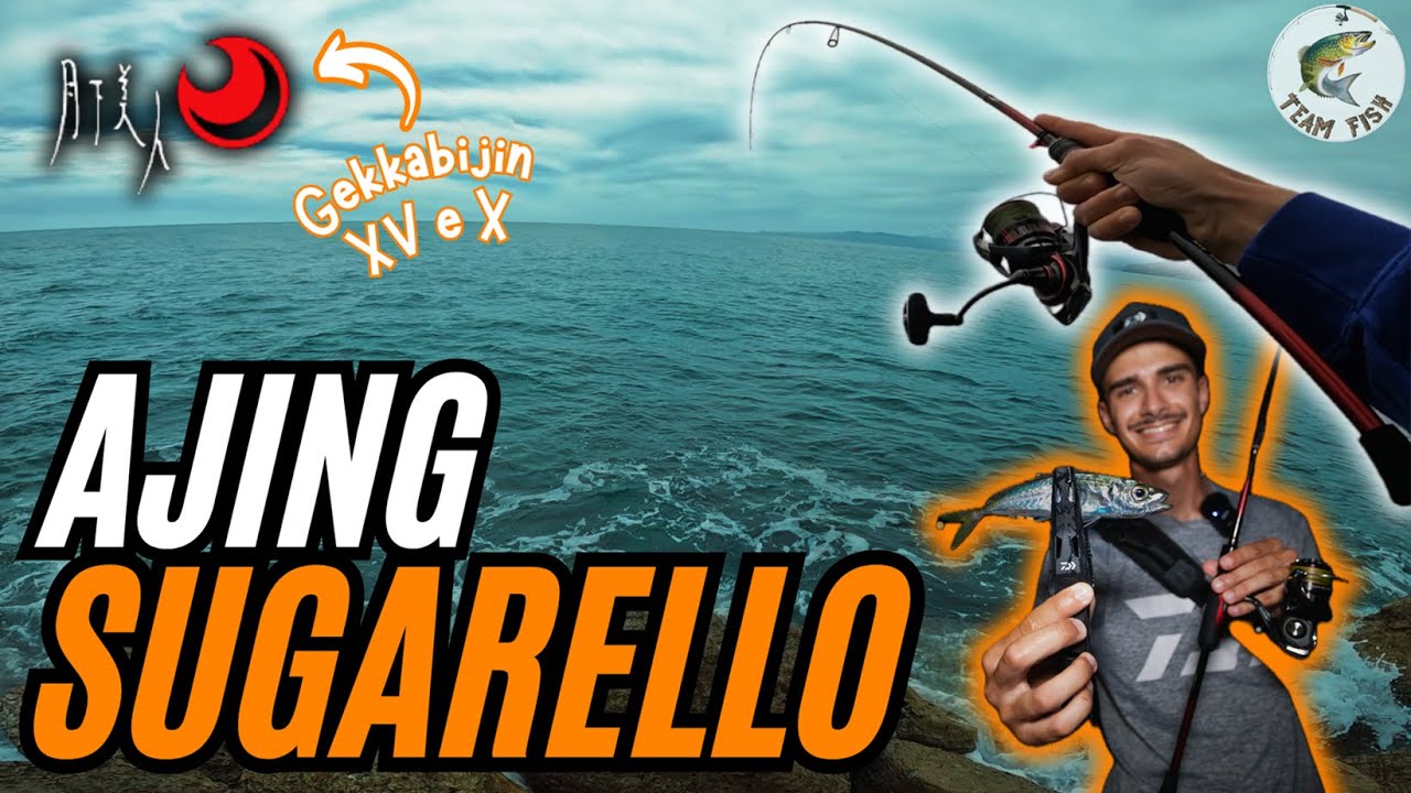 AJING per il SUGARELLO | Gekkabijin XV in AZIONE!
