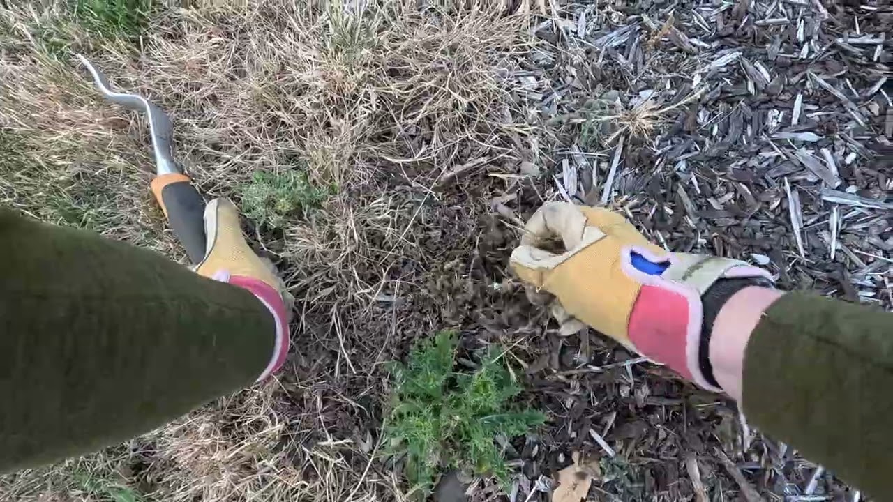 The Bark Mulch #4 - Hand Weeding