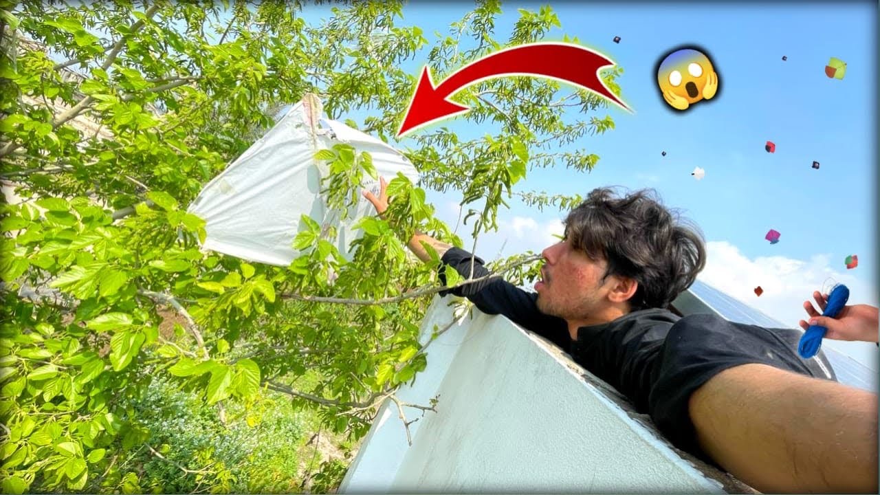 Kite*Catching*😱 || Kite looting🪁 || New trick to caught kite || How to catch kite