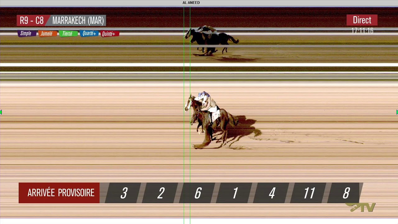 Live Hippodrome « MARRAKECH Courses du « 04/02/2026 »