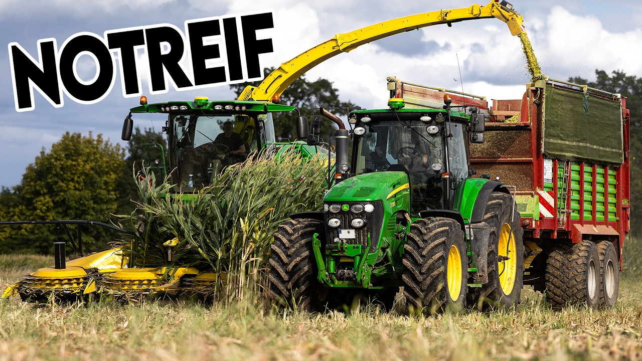 NOTREIF! 🤯 Silomaisernte 2025 startet – reicht das Futter für 400 Tage 🐄 ??