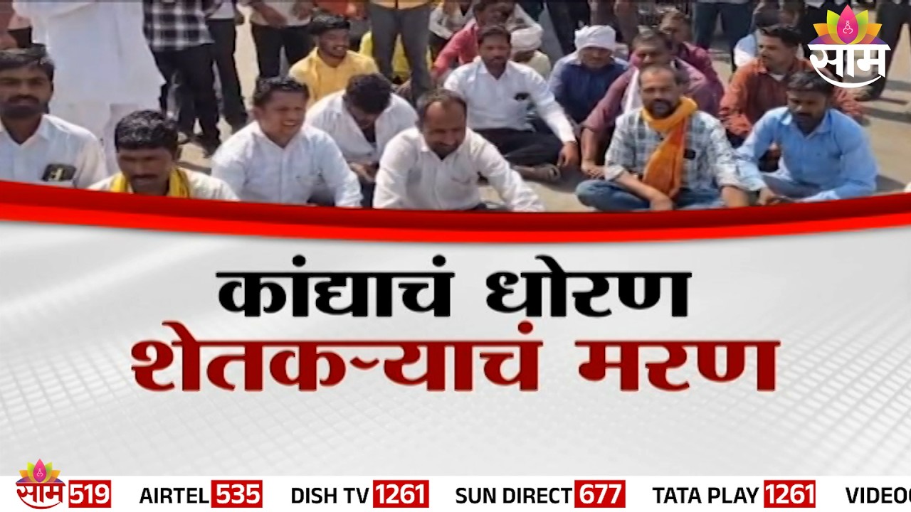 Special Report | कांद्याचे दर गडगडले, शेतकरी हवालदिल | Onion Price Decreased | Farmers Loss