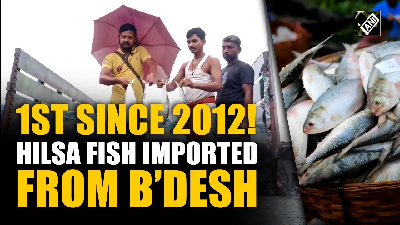 Tonnes of Hilsa fish imported from Bangladesh; First since 2012